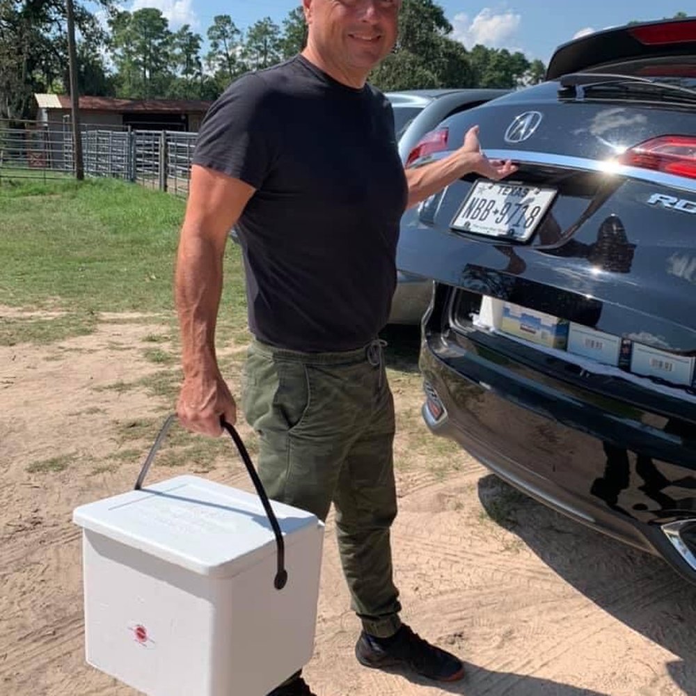 Calico Fresh Market - Bring an ice chest to stock up - Meat Shops Near Me - Conroe, Texas