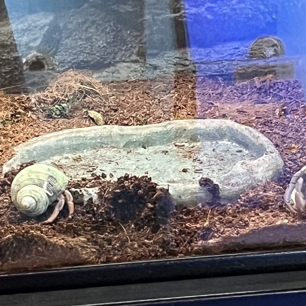 Super Pets - Pet Stores Near Me - Temple City, California Super Pets - Pet Stores Near Me - Temple City, California