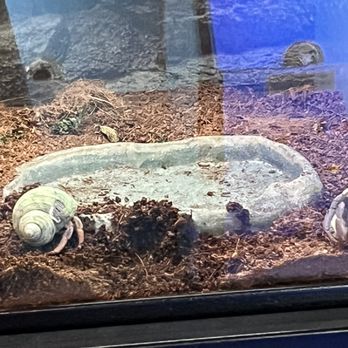 Super Pets - Pet Stores Near Me - Temple City, California Super Pets - Pet Stores Near Me - Temple City, California
