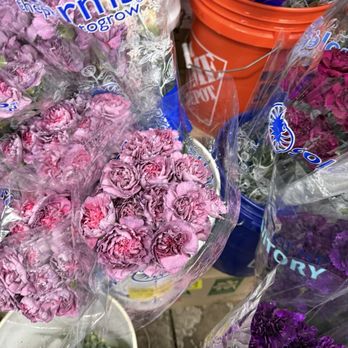 Florida Wholesale Florist - Florists Near Me - Orlando, Florida Florida Wholesale Florist - Florists Near Me - Orlando, Florida