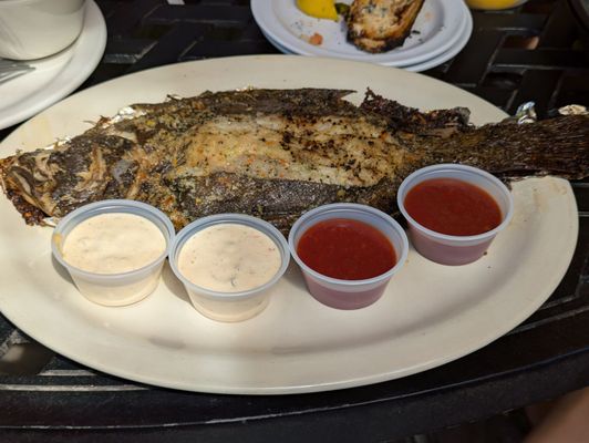 Gilhooley's Restaurant and Oyster Bar 18+ by null