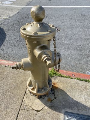 The Golden Fire Hydrant by null
