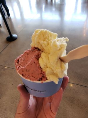 FRÍO Gelato - Navy Pier by null