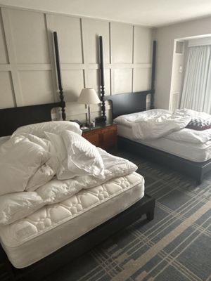 The Charles Hotel by null