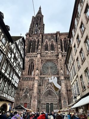 Cathédrale Notre-Dame-de-Strasbourg by null