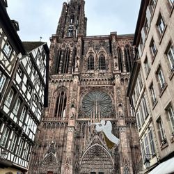 Cathédrale Notre-Dame de Strasbourg