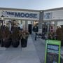 Photo of Woodbridge Square