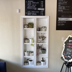 Roots Juice Co & Wellness Studio