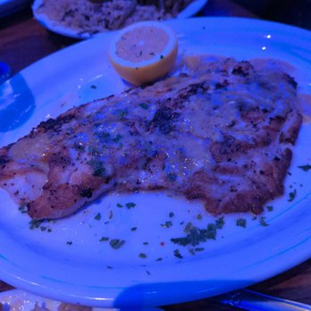 Boston Fish Market - Grouper - Seafood Markets Near Me - Wheeling, Illinois Boston Fish Market - Grouper - Seafood Markets Near Me - Wheeling, Illinois