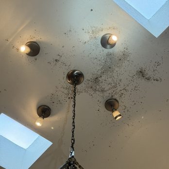 Twin Pillars Restoration - MOLD GROWING AROUND KITCHEN CEILING - Damage Restoration Near Me Twin Pillars Restoration - MOLD GROWING AROUND KITCHEN CEILING - Damage Restoration Near Me