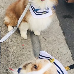 FOX 5 San Diego - KSWB