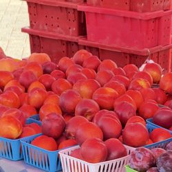Goleta Farmer's Market - Vibrant nectarines