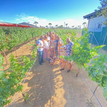 Vino Tinto Tours - Wineries Near Me Vino Tinto Tours - Wineries Near Me