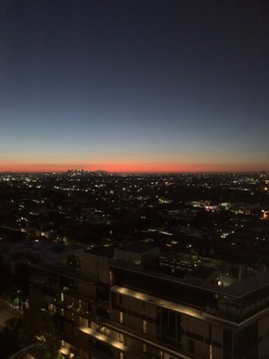 Mondrian Los Angeles by null