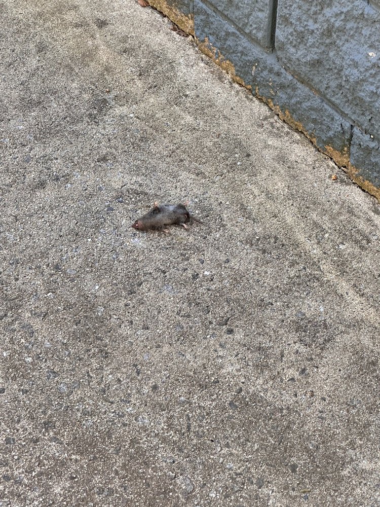 ARCHER ATHENS Updated October 2024 11 Reviews 210 Spring Ct