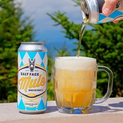 Salt Face Mule Brewing - Our Festbier "Burning Daylight" is back!