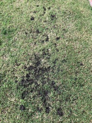 APS WINDOW & GUTTER CLEANING - Updated January 2025 - 29 Reviews