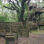 Photo of Wildlife Viewing Tower