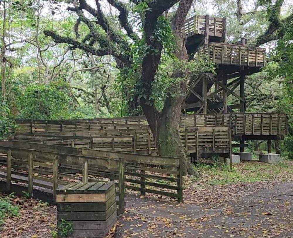 Wildlife Viewing Tower Logo