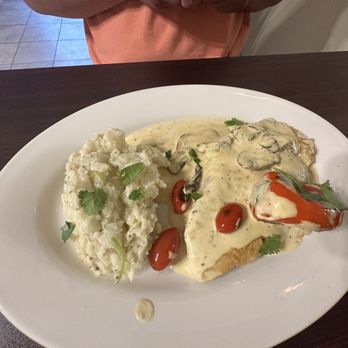 Bellissimo Restaurant - Cream Mustard Chicken - Italian Near Me - Louisville, Kentucky Bellissimo Restaurant - Cream Mustard Chicken - Italian Near Me - Louisville, Kentucky