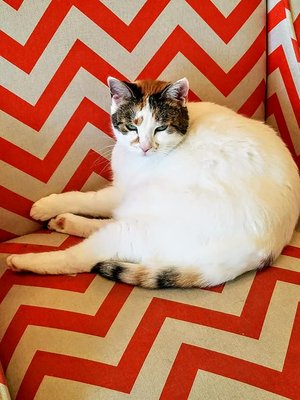 Canalside Inn by null