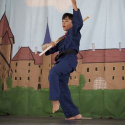 US World Class Taekwondo - Photo Taken By Damian Alcolea.
Sherwood Robin Hood Festival