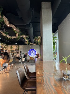 Pure Project Balboa Park by null