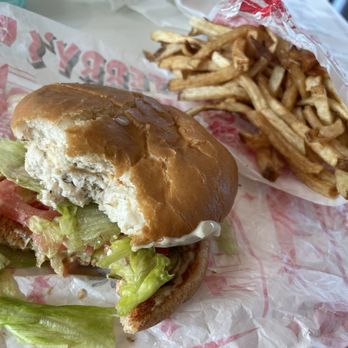 P. Terry's Burger Stand - Spicy Grilled Chicken Burger with Cheese and French Fries - Juice Bars & Smoothies Near Me - Spring, Texas