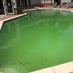 Fox Pools and Spas
