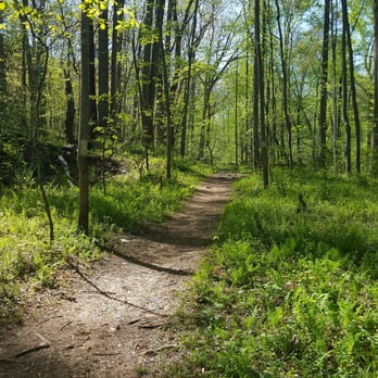 Lake Fairfax Park - Lakes Near Me - Reston, Virginia