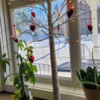 Congamond Coffee - Cafes Near Me - Southwick, Massachusetts