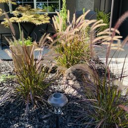 Moss rocks and landscaping Moss rocks and landscaping