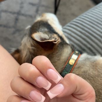 Pretty Nails - Pink French tip by David - Day Spas Near Me - Redlands, California Pretty Nails - Pink French tip by David - Day Spas Near Me - Redlands, California