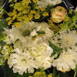 Côté Fleur Bleue