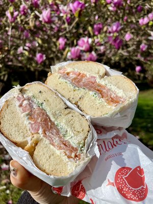 Schlok's Bagels & Lox by null