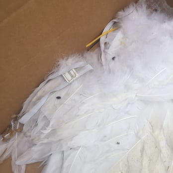Extra Space Storage - RAT DROPPINGS ALL OVER MY BELONGINGS!!! - Self Storage Near Me - Memphis, Tennessee