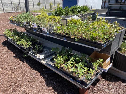 Flatbed Farm by null