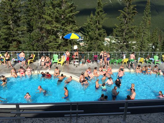 Banff Upper Hot Springs by null