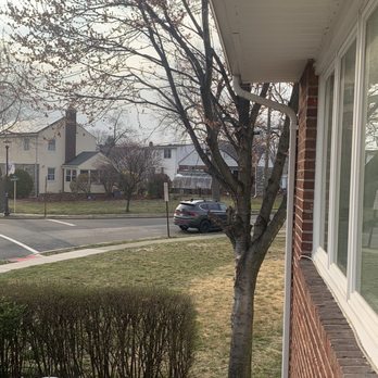 J P's Tree Service - Tree Services Near Me - Rutherford, New Jersey J P's Tree Service - Tree Services Near Me - Rutherford, New Jersey