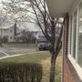 Photo of J P's Tree Service