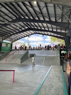 Skatebird Miami by null