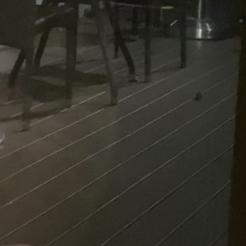 Del Frisco's Double Eagle Steakhouse - couldn't upload the video but here's pictures - Seafood Near Me - Boston, Massachusetts Del Frisco's Double Eagle Steakhouse - couldn't upload the video but here's pictures - Seafood Near Me - Boston, Massachusetts