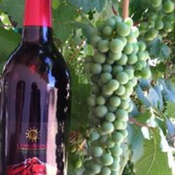 Coronado Vineyards - Wine Tasting Room Near Me - Willcox, Arizona