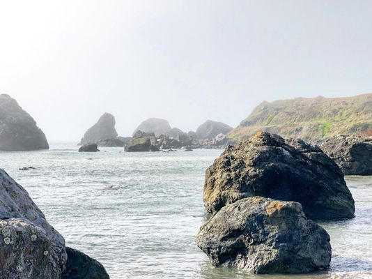 Lone Ranch Beach by null