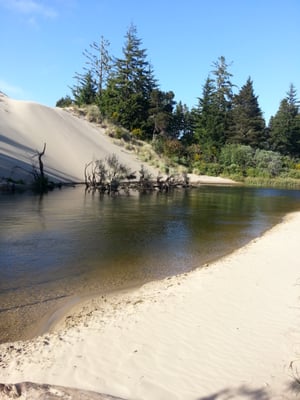 spinreel campground reservations