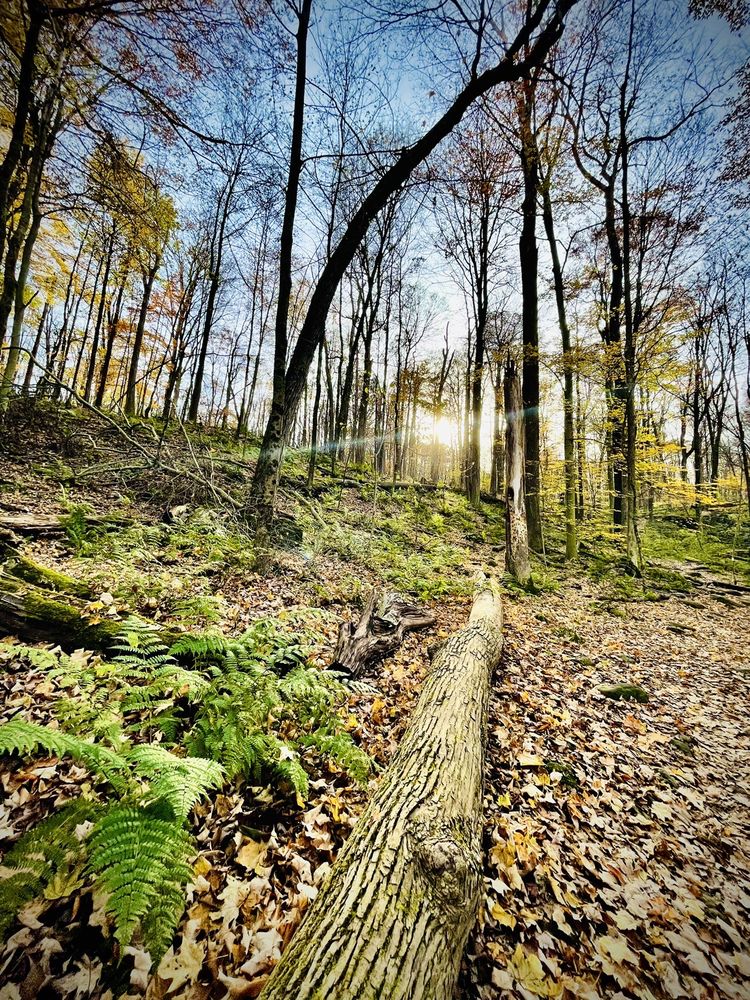 Malabar Farm State Park