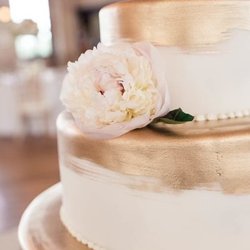 Talucci's Bakery