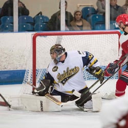 Lee Valley Ice Centre - London Raiders play Ice Hockey @Lee Valley Ice Centre on Saturdays at 17.30 (October to April) (Doors open 17:00)