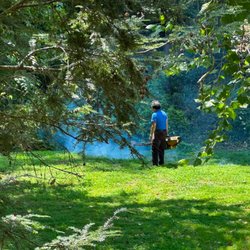 Capasso Pest Services