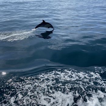 Oceanside Adventures - Boat Charters Near Me - Oceanside, California